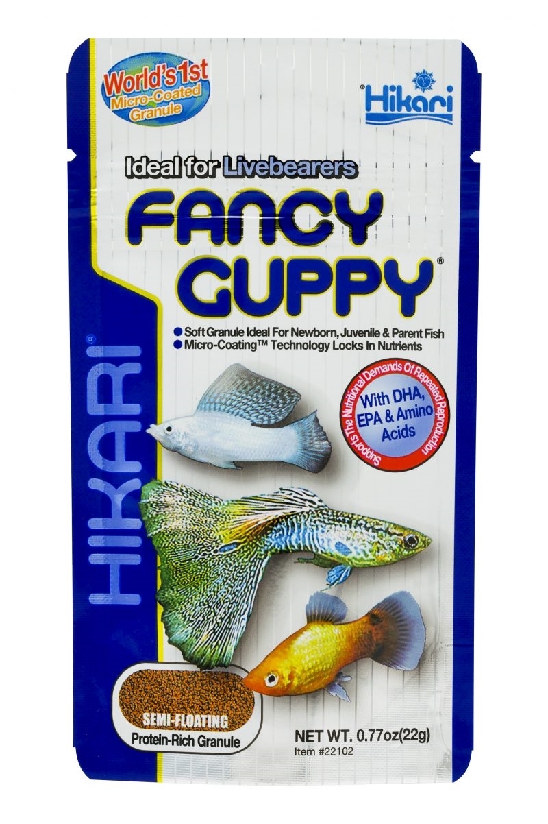 0000327_hikari-fancy-guppy-22g